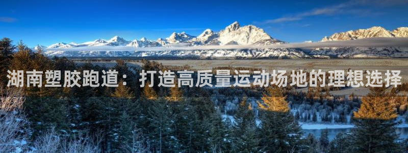 红足1世足球网址大全：湖南塑胶跑道：打造高质量运动场地的理想选择