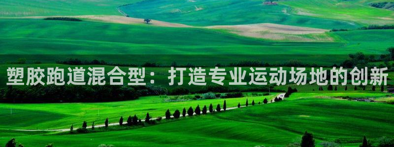 55814红足1世：塑胶跑道混合型：打造专业运动场地的创新