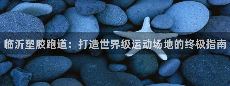 红足一1世66814：临沂塑胶跑道：打造世界级运动场地的终极指南
