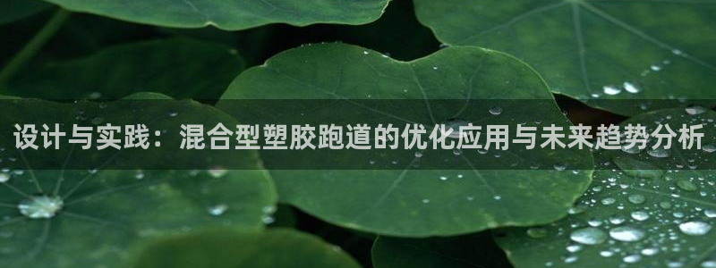 新2足球平台出租网站：设计与实践：混合型塑胶跑道的优化应用与未来趋势分析