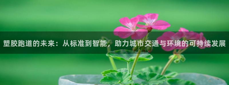 红足1世1站2站管理网：塑胶跑道的未来：从标准到智能，助力城市交通与环境的可持续发展