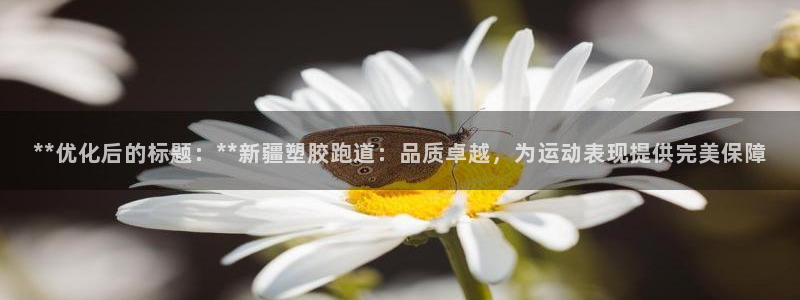 红足一1世手机版新皇冠：**优化后的标题：**新疆塑胶跑道：品质卓越，为运动表现提供完美保障