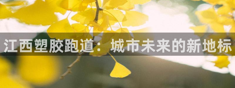 4633333开奖结果4176一点红：江西塑胶跑道：城市未来的新地标