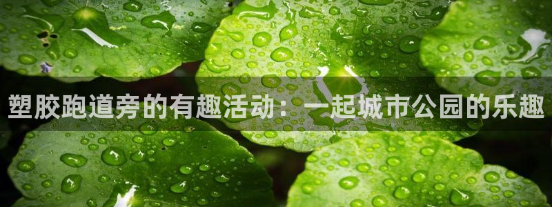 红足一1世官网比分：塑胶跑道旁的有趣活动：一起城市公园的乐趣