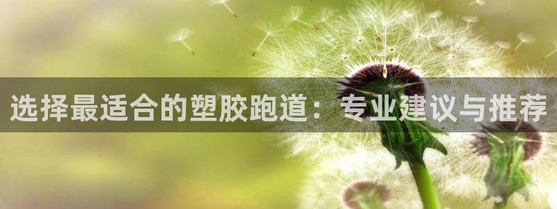 红足一1世官网：选择最适合的塑胶跑道：专业建议与推荐