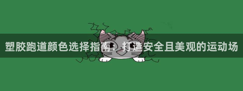 红足1世1站2站管理网：塑胶跑道颜色选择指南：打造安全且美观的运动场