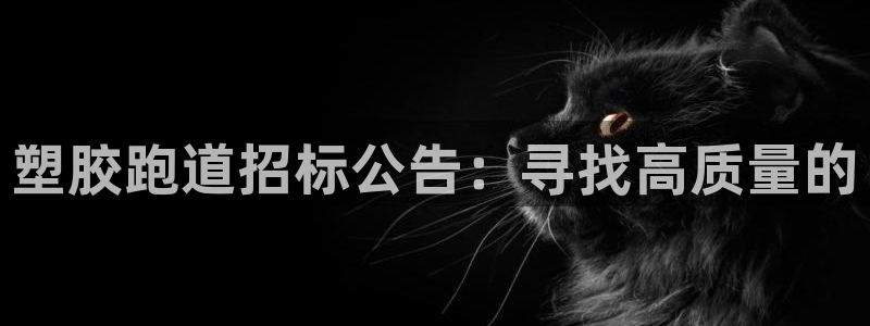 红足一球：塑胶跑道招标公告：寻找高质量的