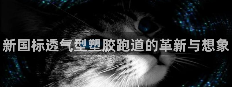 红足1世手足球比分：新国标透气型塑胶跑道的革新与想象