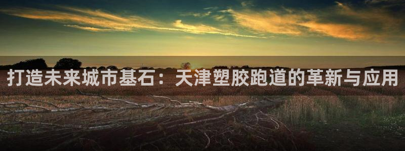 红足1世手机下载：打造未来城市基石：天津塑胶跑道的革新与应用