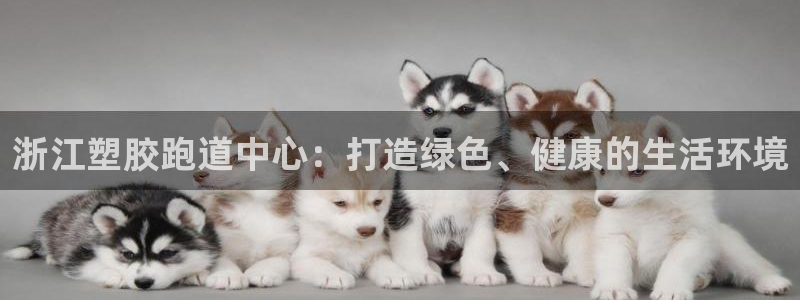 红足一生世：浙江塑胶跑道中心：打造绿色、健康的生活环境
