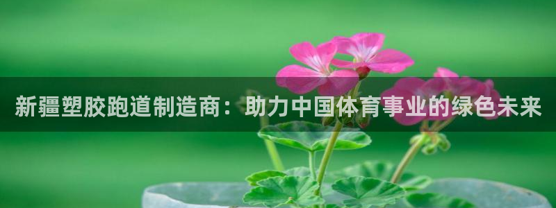 红足1一世开奖版：新疆塑胶跑道制造商：助力中国体育事业的绿色未来