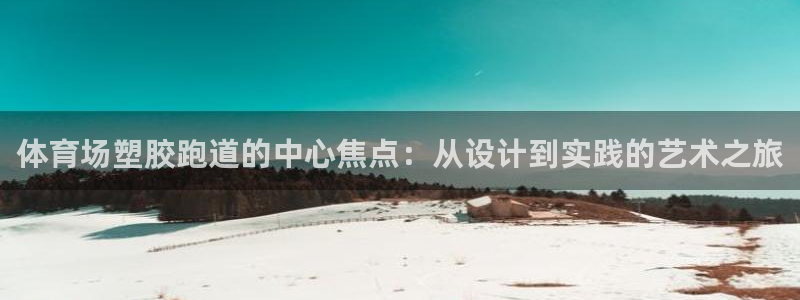 55814红足1世：体育场塑胶跑道的中心焦点：从设计到实践的艺术之旅