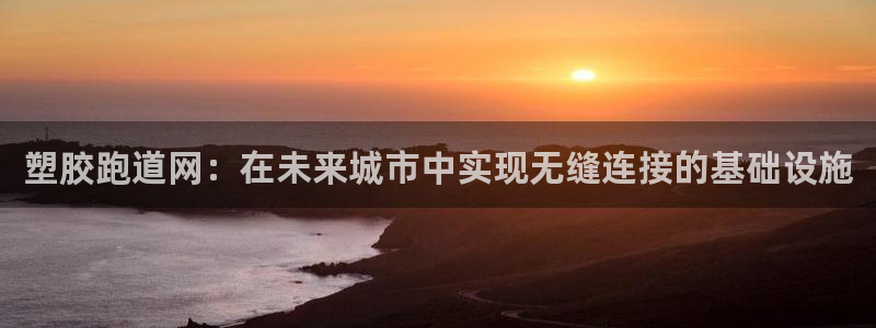 红足1一世红：塑胶跑道网：在未来城市中实现无缝连接的基础设施