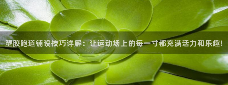 红足一1世666814足球比分网：塑胶跑道铺设技巧详解：让运动场上的每一寸都充满活力和乐趣!