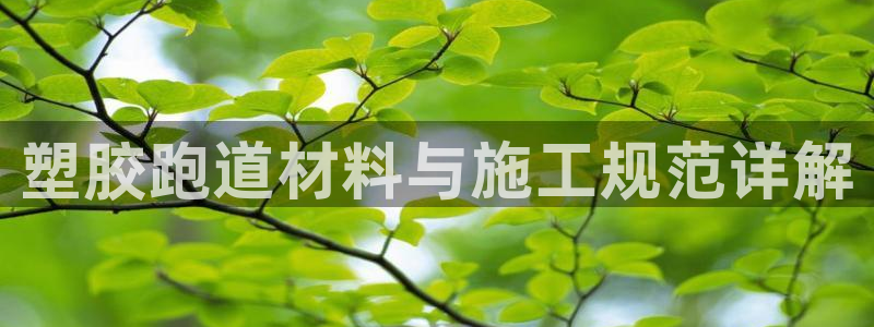 红足一生世：塑胶跑道材料与施工规范详解