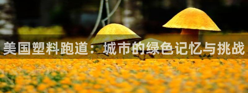 333814红·足一世比分：美国塑料跑道：城市的绿色记忆与挑战
