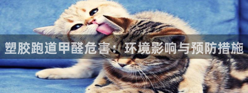 红足一1世皇冠登录：塑胶跑道甲醛危害：环境影响与预防措施