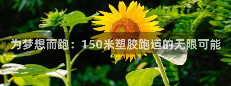 红足一1世开奖记录：为梦想而跑：150米塑胶跑道的无限可能