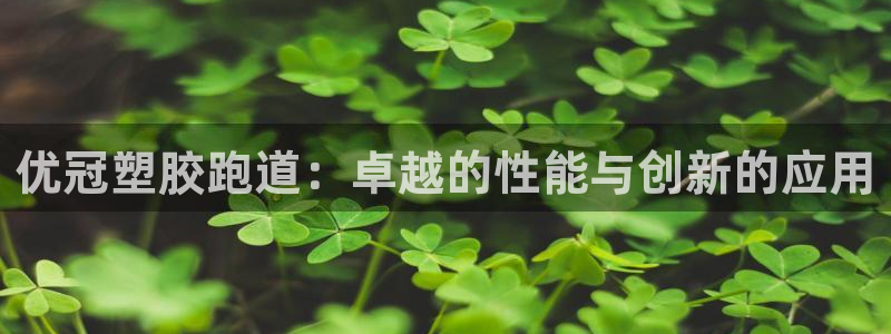 4633333开奖结果4176一点红：优冠塑胶跑道：卓越的性能与创新的应用