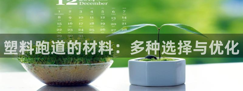 红足1世手机下载：塑料跑道的材料：多种选择与优化