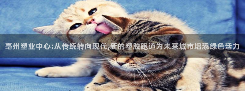 红足1世足球比分：亳州塑业中心:从传统转向现代,新的塑胶跑道为未来城市增添绿色活力