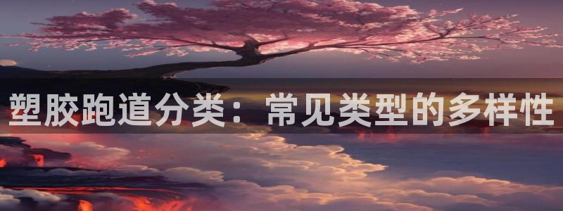百度红足一1是什么样子的：塑胶跑道分类：常见类型的多样性