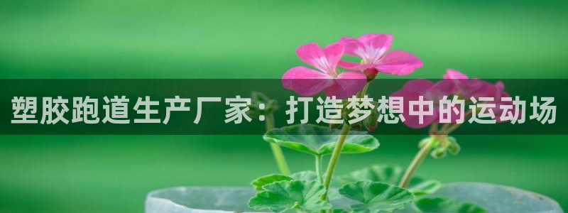 红足1世足球比分网址：塑胶跑道生产厂家：打造梦想中的运动场