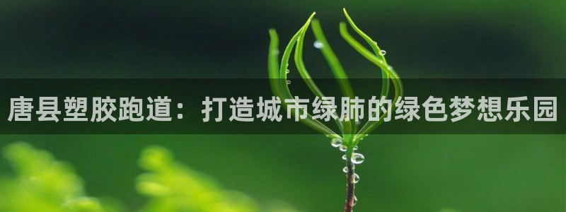 红足1世手机板：唐县塑胶跑道：打造城市绿肺的绿色梦想乐园