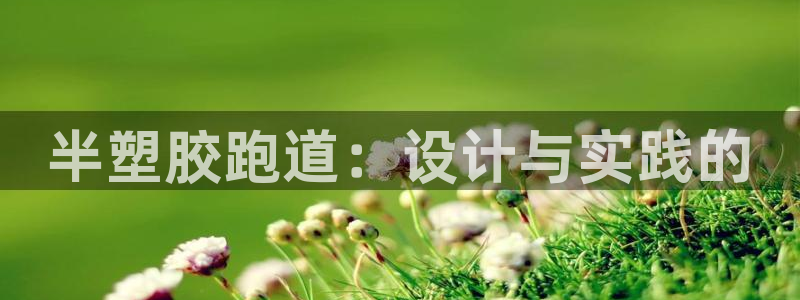 333814红足1世：半塑胶跑道：设计与实践的