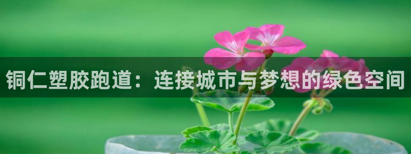 红足1一世：铜仁塑胶跑道：连接城市与梦想的绿色空间