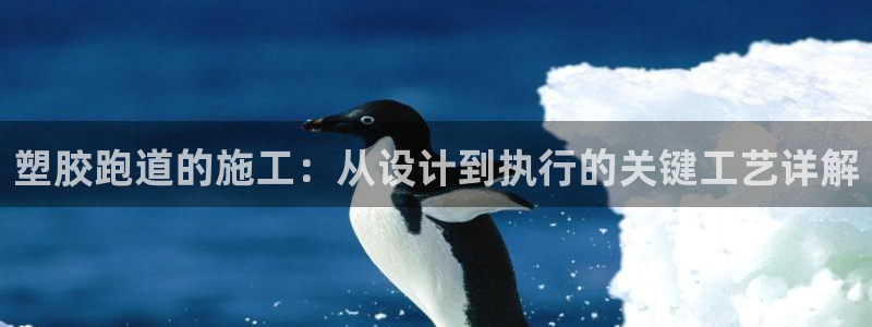 红足体育网：塑胶跑道的施工：从设计到执行的关键工艺详解