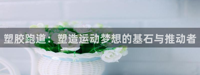 44814红足：塑胶跑道：塑造运动梦想的基石与推动者