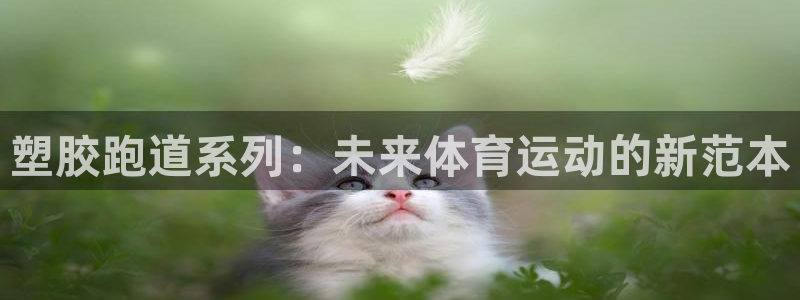 66814红足：塑胶跑道系列：未来体育运动的新范本