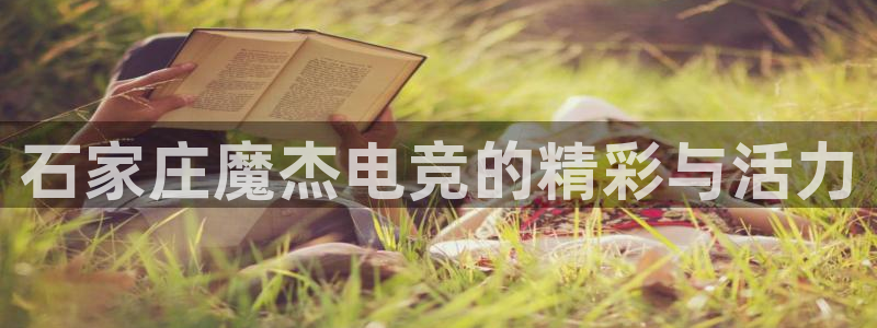 蜂鸟电竞怎么押注：石家庄魔杰电竞的精彩与活力