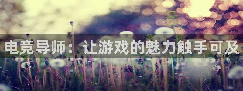 蜂鸟电竞在线：电竞导师：让游戏的魅力触手可及