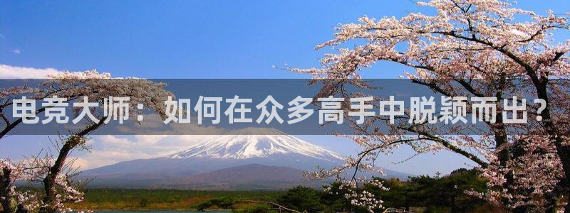 蜂鸟电竞在线：电竞大师：如何在众多高手中脱颖而出？