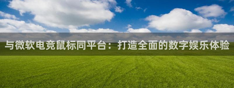 蜂鸟电竞网页版：与微软电竞鼠标同平台：打造全面的数字娱乐体验
